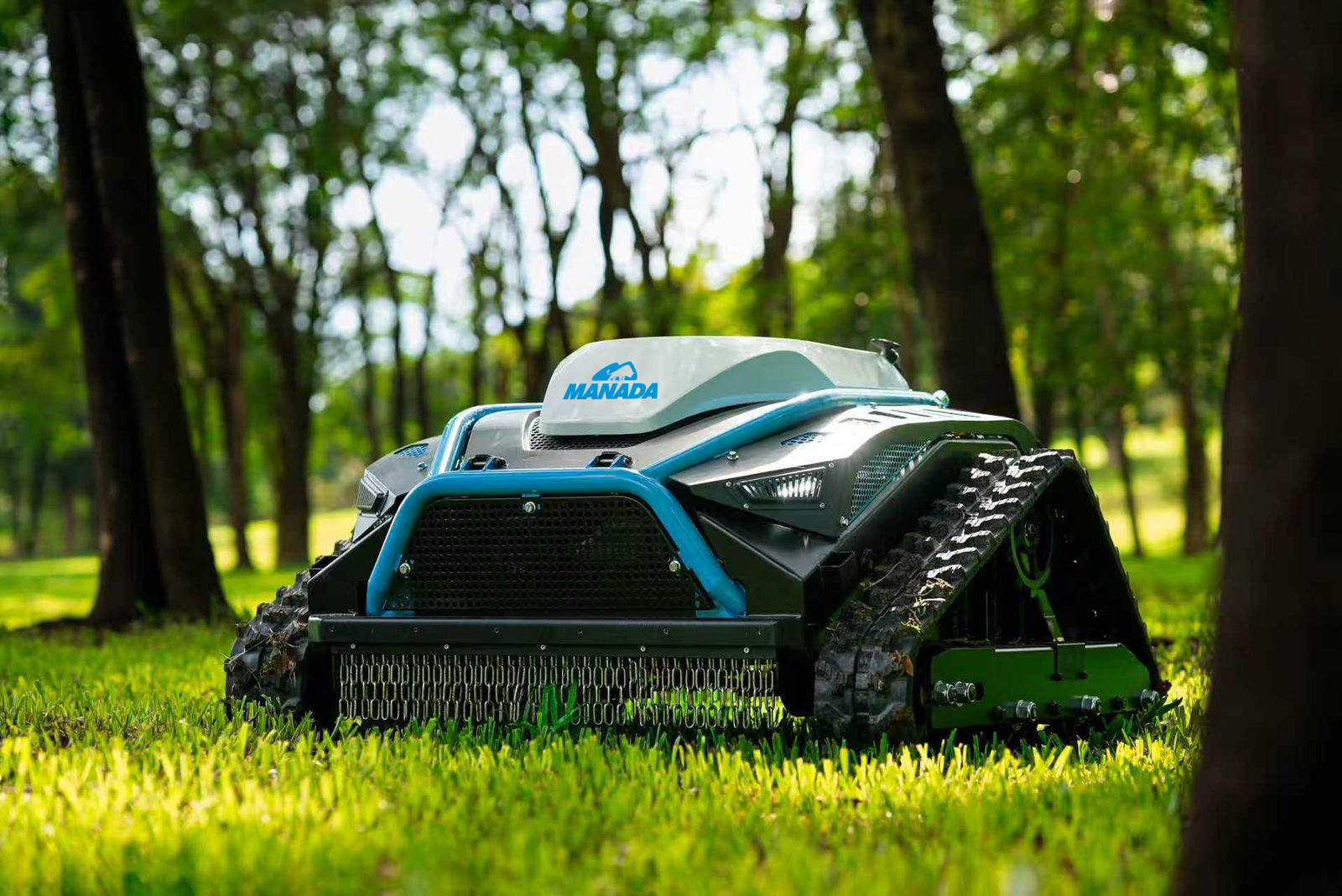 Cortador de Grama Elétrico - Modelo Profissional